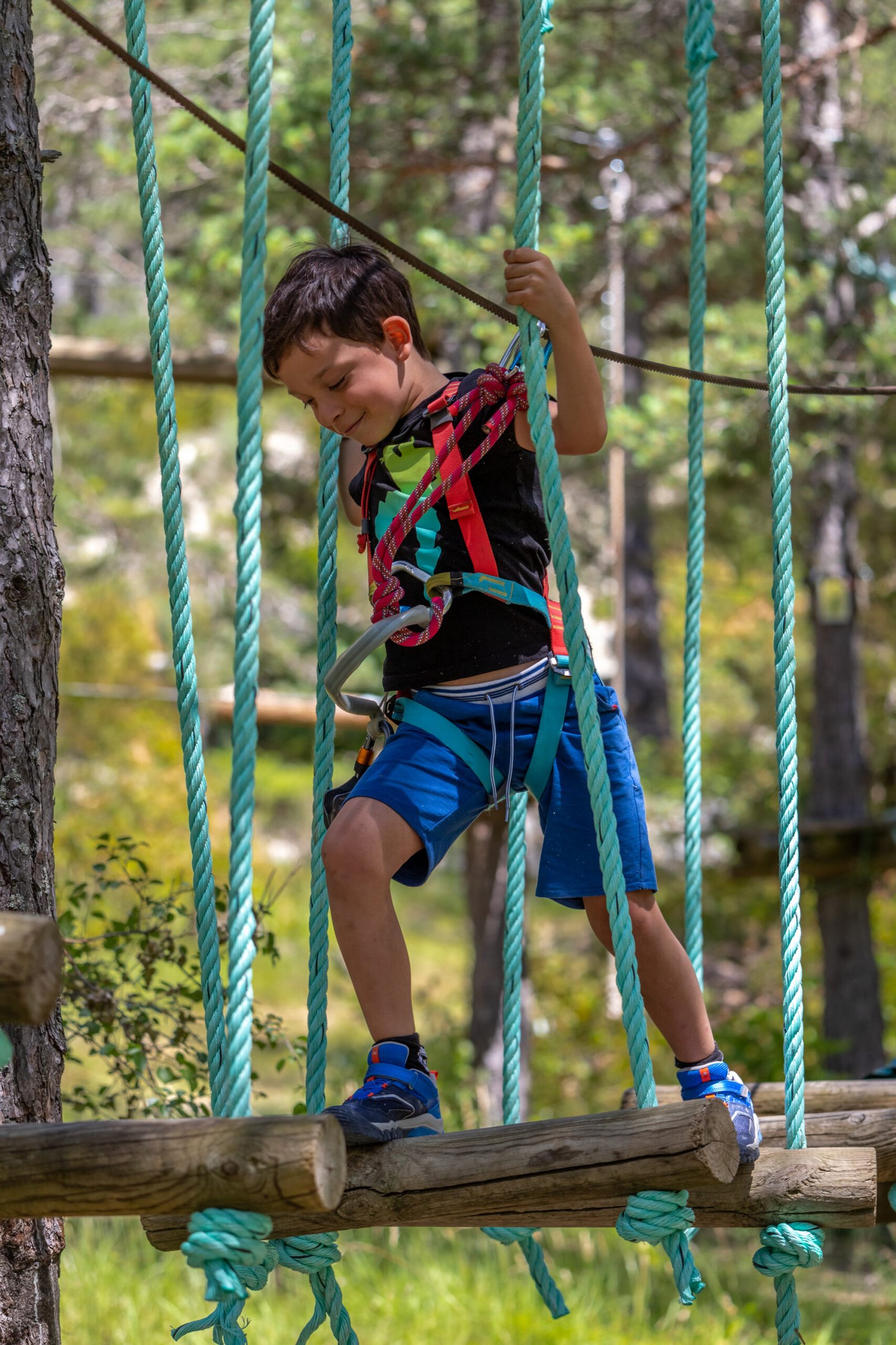 Parcours Junior – Image 2